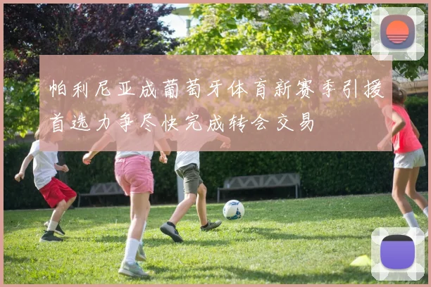 帕利尼亚成葡萄牙体育新赛季引援首选力争尽快完成转会交易